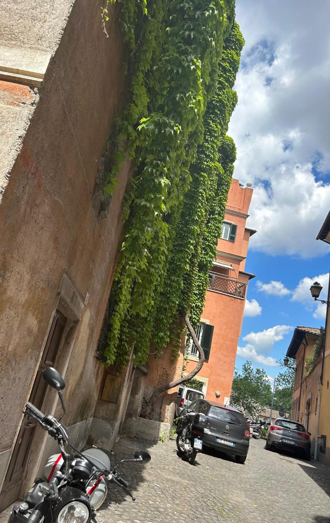 Garden House Trastevere Róma Kültér fotó